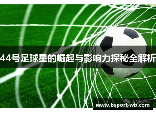 44号足球星的崛起与影响力探秘全解析